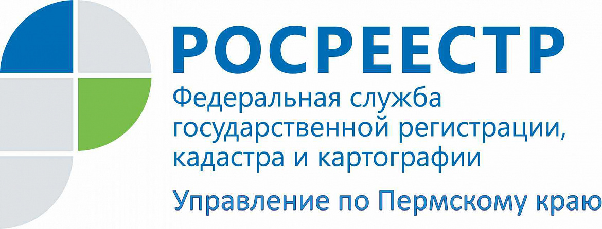С начала года в Прикамье дисквалифицировано три арбитражных управляющих